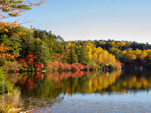 白駒の池　湖畔の紅葉