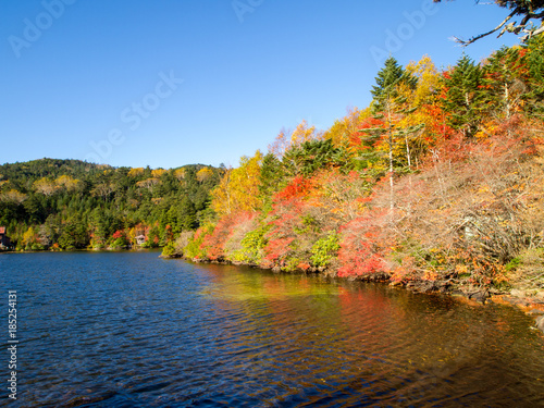 白駒の池の紅葉