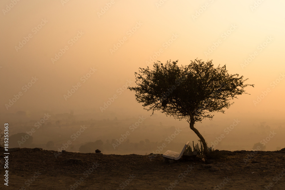 A beautiful tree silhouette in winter early morning during sunrise time in nature. 
