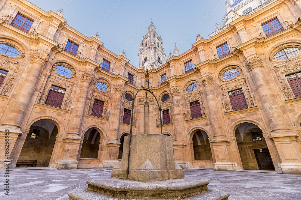 Water well in facade of Salamanca University, the oldest university in Spain and one of the oldest in Europe, Community of Castile and Leon, Spain.