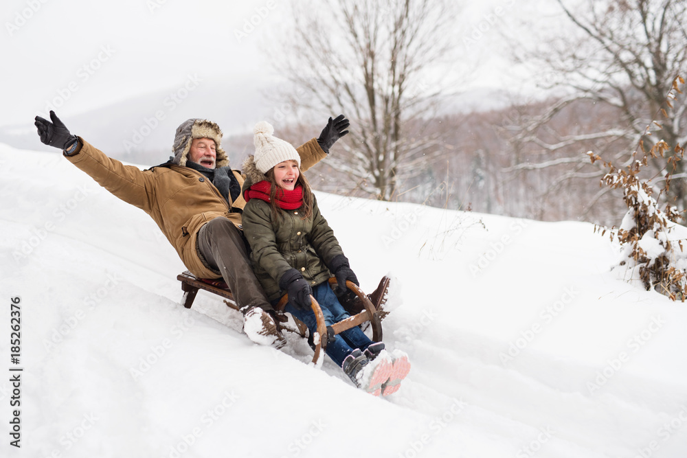 Grandfather and small girl sledging on a winter day. - obrazy, fototapety, plakaty 