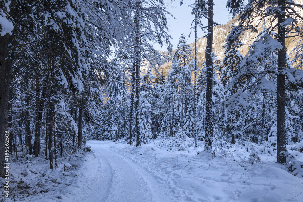 Winterlandschaft in Slowenien