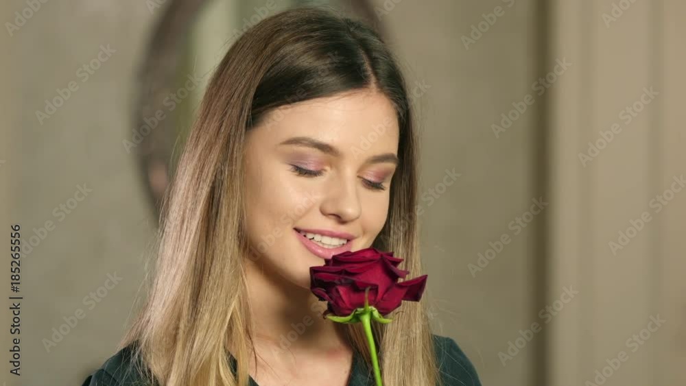 Portrait beautiful woman sniffing red rose that holds in hands on romantic date and looking into camera on background indoor interior living room close up Portrait beautiful woman sniffing red rose that holds in hands on romantic date and looking into camera on background indoor interior living room close up