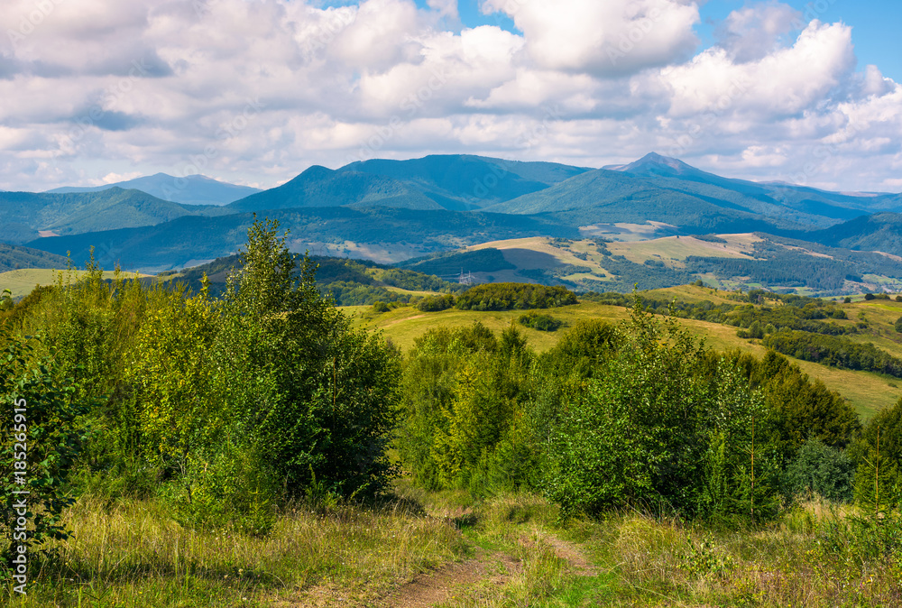 Fototapeta premium beautiful countryside of Crapathians in early autumn. forested hills and mountain ridge with high peak in the distance. lovely sunny weather with cloudy sky