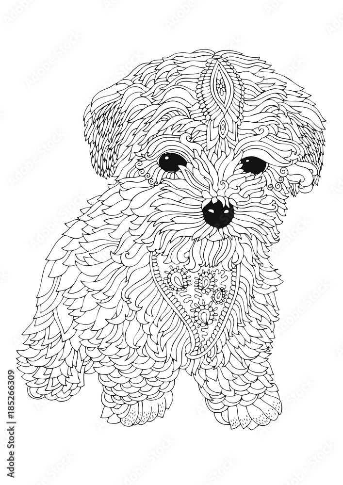 Bichon frise puppy. Hand drawn dog. Sketch for anti-stress adult coloring  book in zen-tangle style. Vector illustration for coloring page. Stock  Vector | Adobe Stock