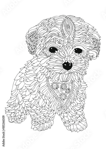 Bichon frise puppy. Hand drawn dog. Sketch for anti-stress adult coloring book in zen-tangle style. Vector illustration for coloring page. photo