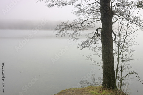 Fototapeta Naklejka Na Ścianę i Meble -  mglisty poranek nad jeziorem