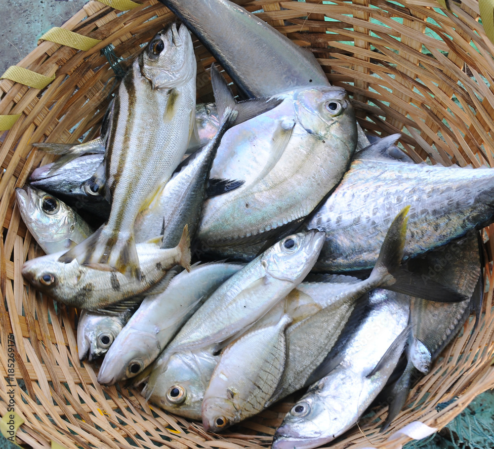 Fresh Fish in basket selling in market. All kind of mixed fishes