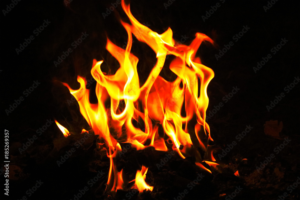 fire flame
