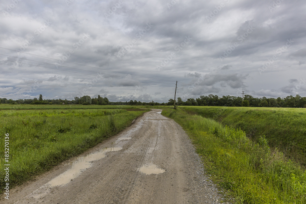 muddy wet road with puddles boarded with green fields, Lonjsko Polje; Croatia