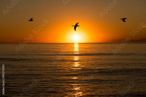 A sunrise in the sea with birds flying