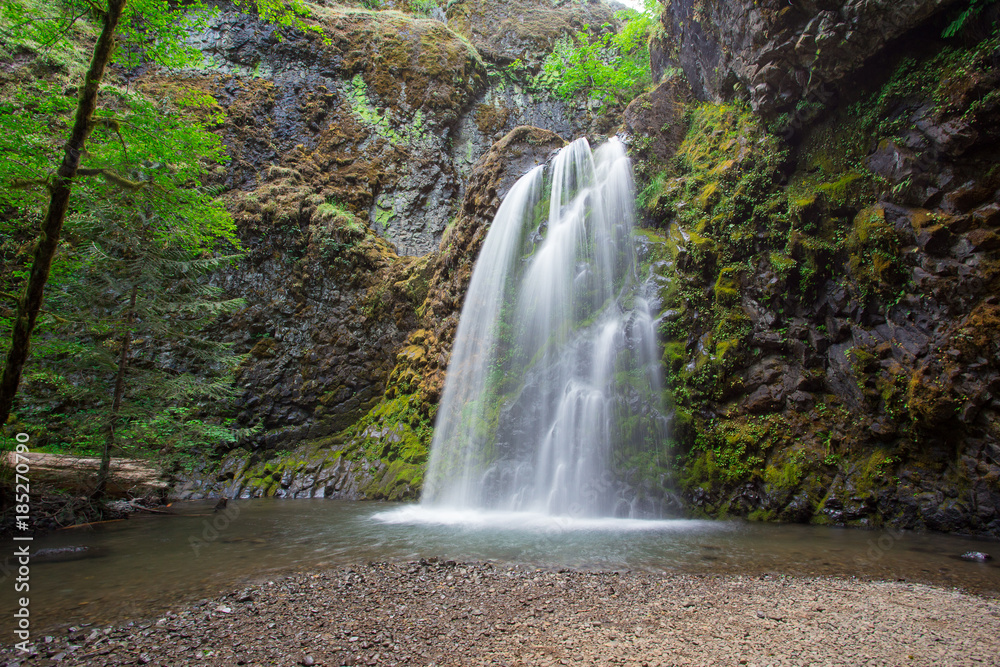 Fototapeta premium Fall Creek Falls in Oregon Near North Umpqua