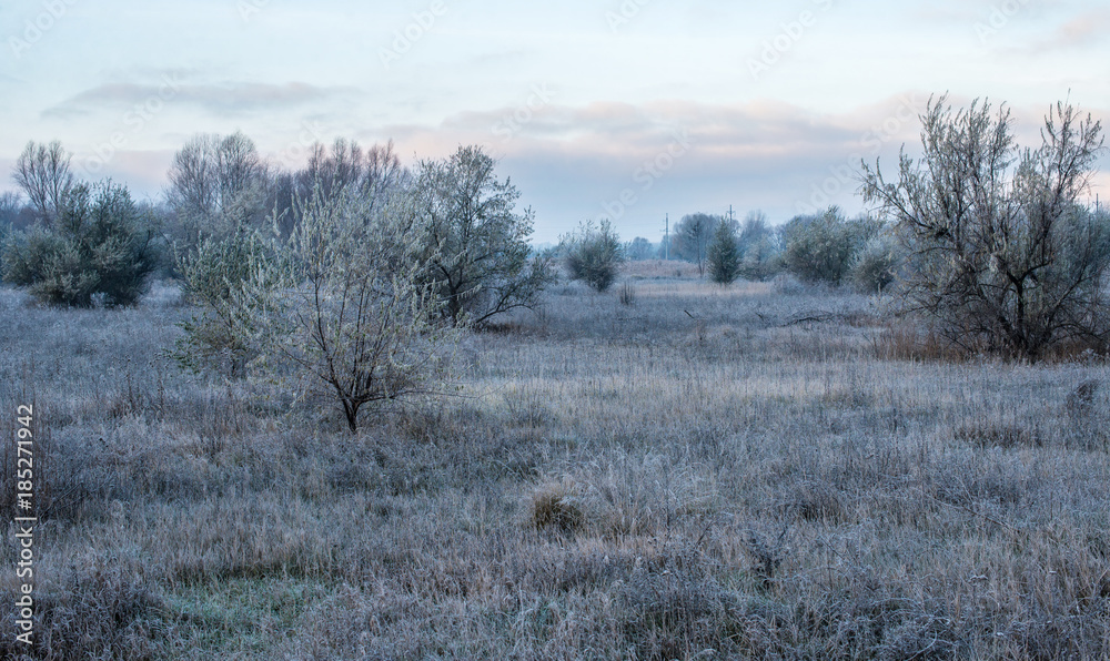 winter landscape with frost in the early morning rural with trees winter landscape with frost in the early morning rural with trees