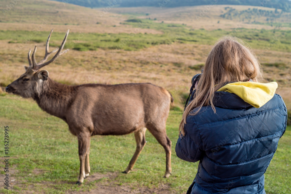 Fototapeta premium Female wildlife photographer