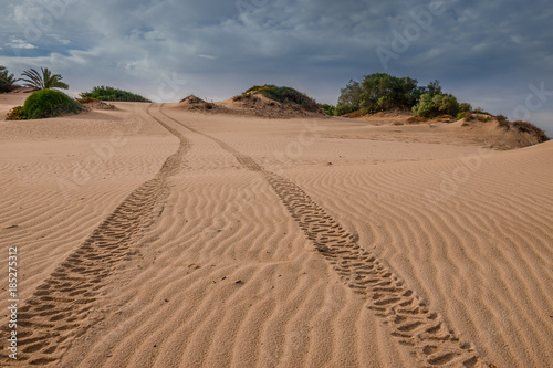 The Israeli dune. Ashkelon