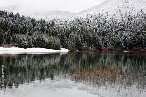 Winter landscape background with beautiful reflection in the water, Cerknica lake, Slovenia, background for christmas cards, desktop

