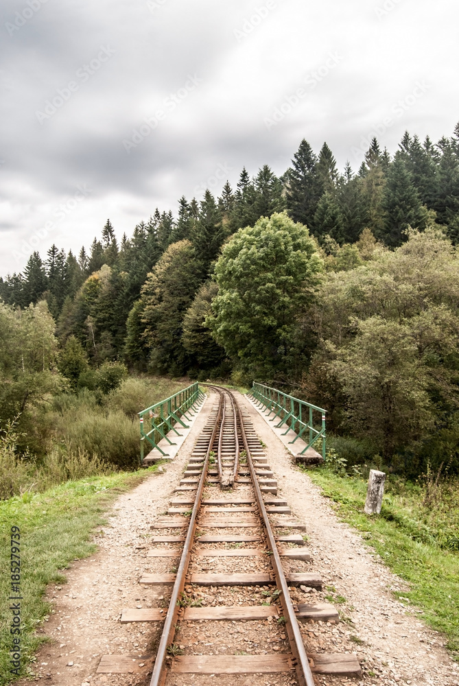 Fototapeta premium narrow-gauge railway with bridge and forest on the background near Cisna village in Biesczady mountains in Poland