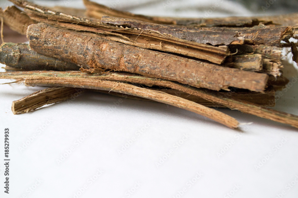 Dry oak bark on a white background. Quercus cortex. Quercus robur.