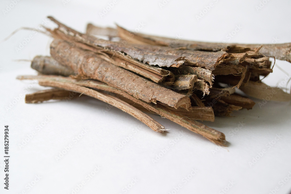 Dry oak bark on a white background. Quercus cortex. Quercus robur. Dry oak bark on a white background. Quercus cortex. Quercus robur.