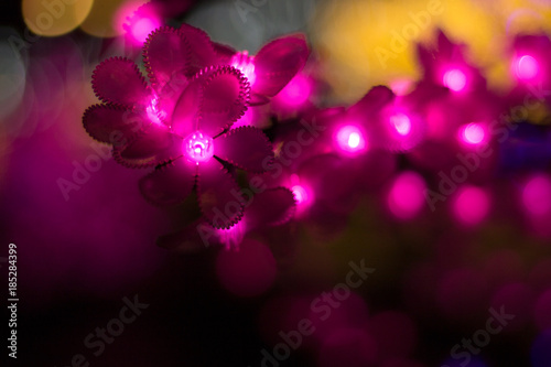 pink flowers garland bright lights in the new year a good mood