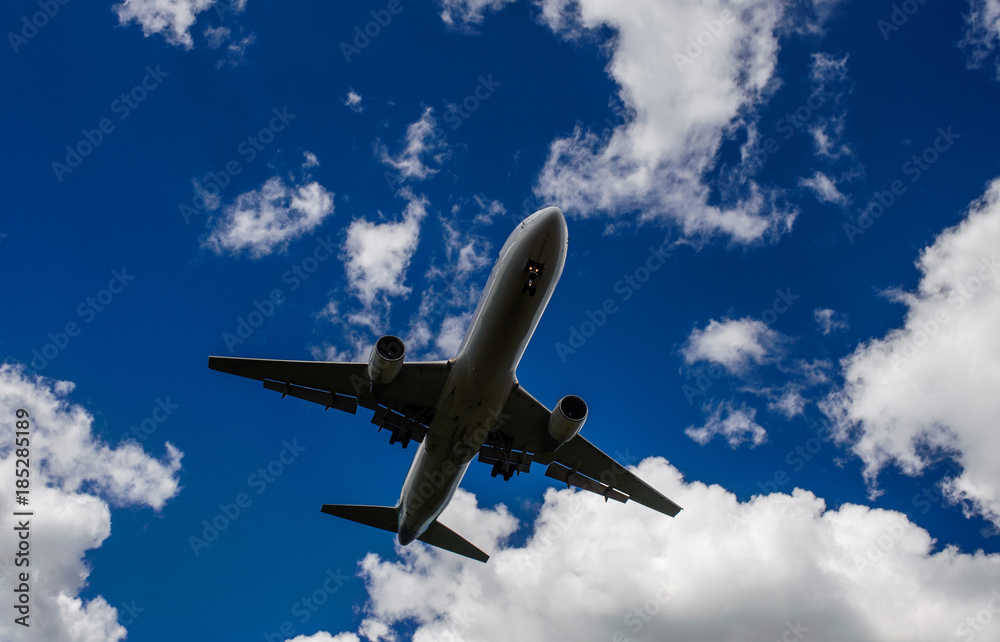 Obraz premium The plane on a background of blue sky and white clouds.