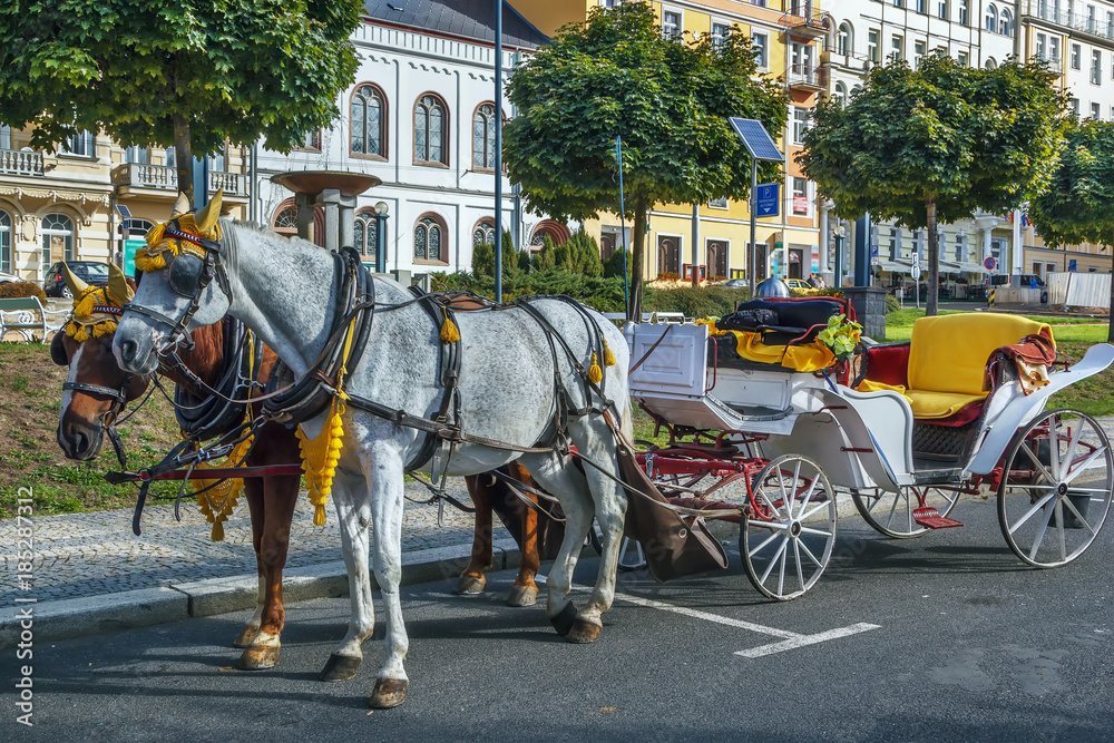 carriage in Marianske Lazne, Czech republic carriage in Marianske Lazne, Czech republic
