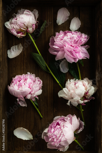 Fresh bunch of pink peonies on Old Wooden Rustic Tray © manuta
