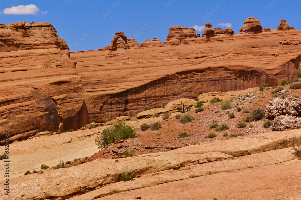 Fototapeta premium View of Delicate Arch from a distance, Arches National Park, UT, USA