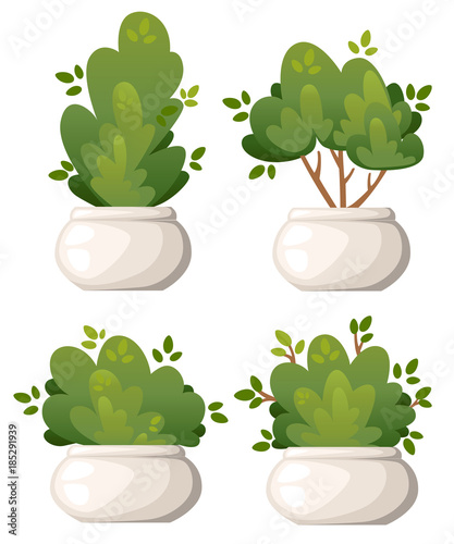Obraz na plátně Set of natural bush and garden trees in white vase for park cottage and yard vec