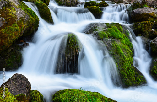 algae, water and natural texture of the waterfall