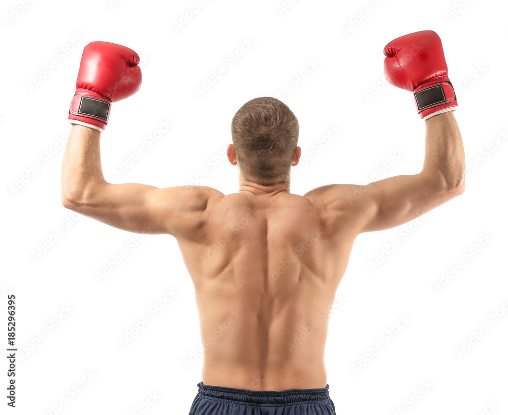 Attractive young boxer on white background Attractive young boxer on white background