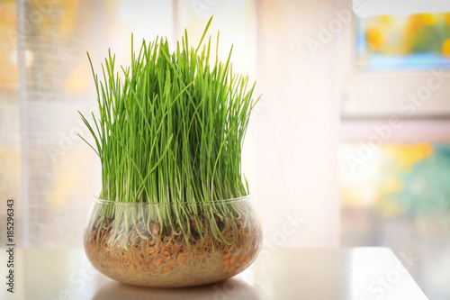 Glass bowl with wheat grass on table near window