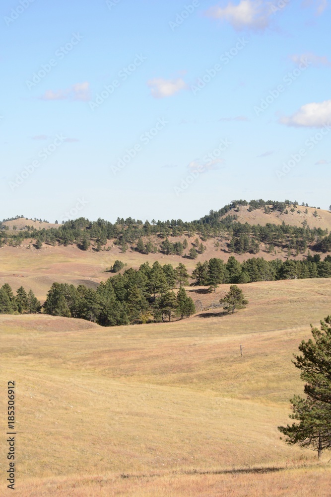 Fototapeta premium Beautiful vista with blue sky