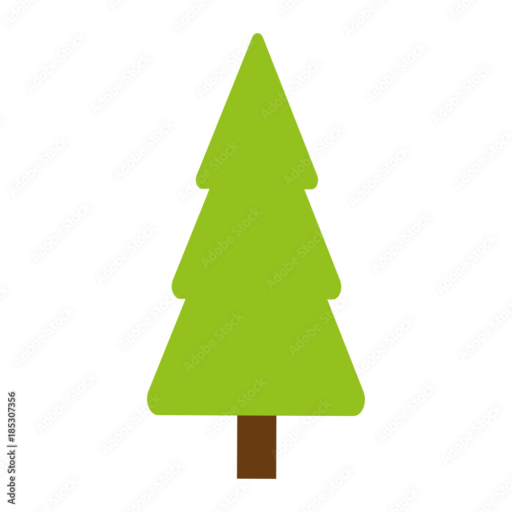 Obraz premium Tree pine isolated