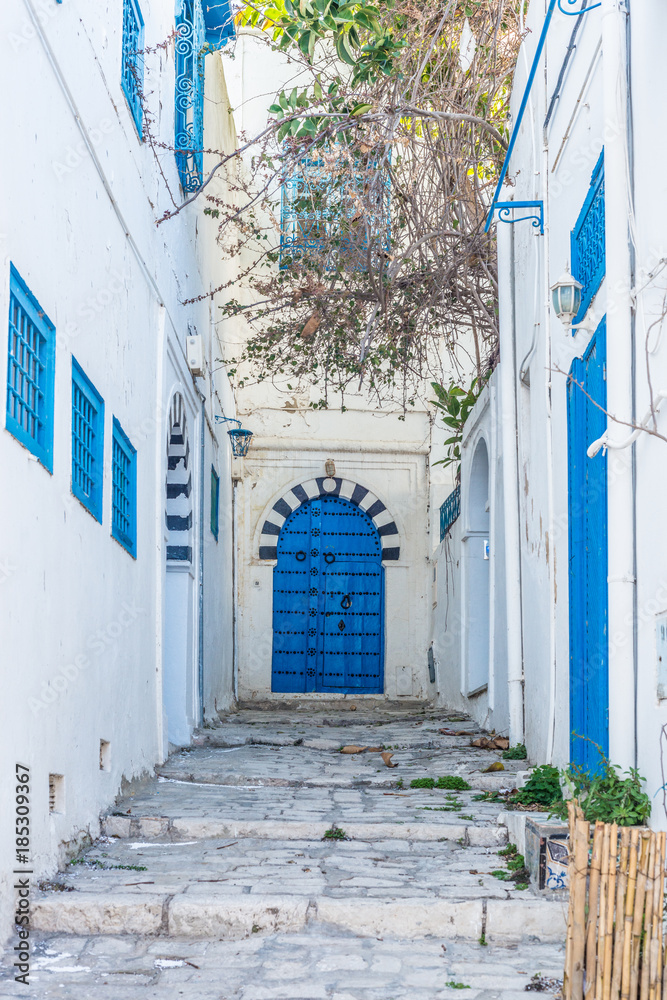 Naklejka premium Sidi Bou Said near Tunis in Tunisia.