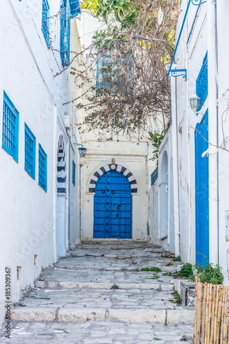 Sidi Bou Said near Tunis in Tunisia. © Anibal Trejo