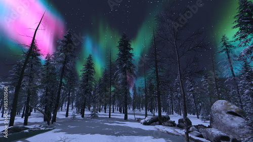 Tableau sur toile 雪原
