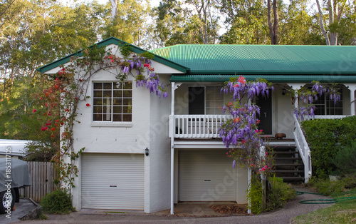 Suburban house near Brisbane Australia with wisteria growing over the stairs and porch and tall gum trees behind photo