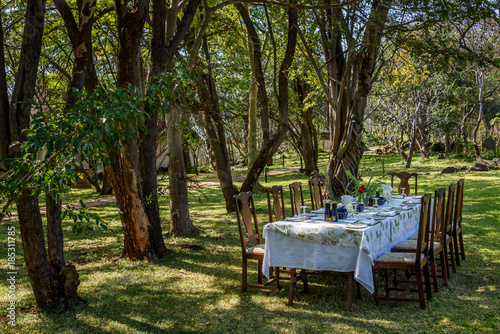 Luxurious outdoor dining on the lawn among the trees, table and chairs set for dinner
