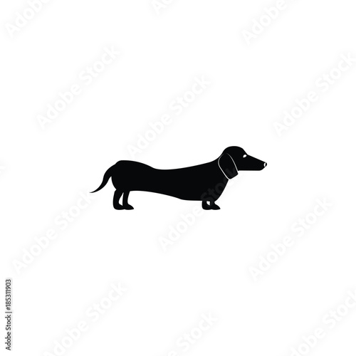 Dachshund icon. Popular Breed of dogs element icon. Premium quality graphic design icon. Dog Signs and symbols collection icon for websites  web design  mobile app