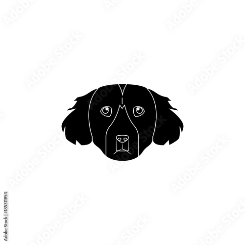 Setter face icon. Popular Breed of dogs element icon. Premium quality graphic design icon. Dog Signs and symbols collection icon for websites, web design, mobile app photo