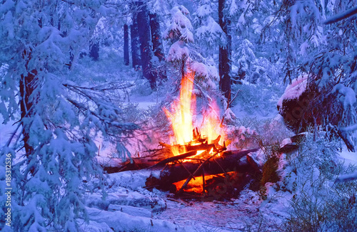 Big bright bonfire on snow in the winter alpine forest at night. Stock Photo | Adobe Stock