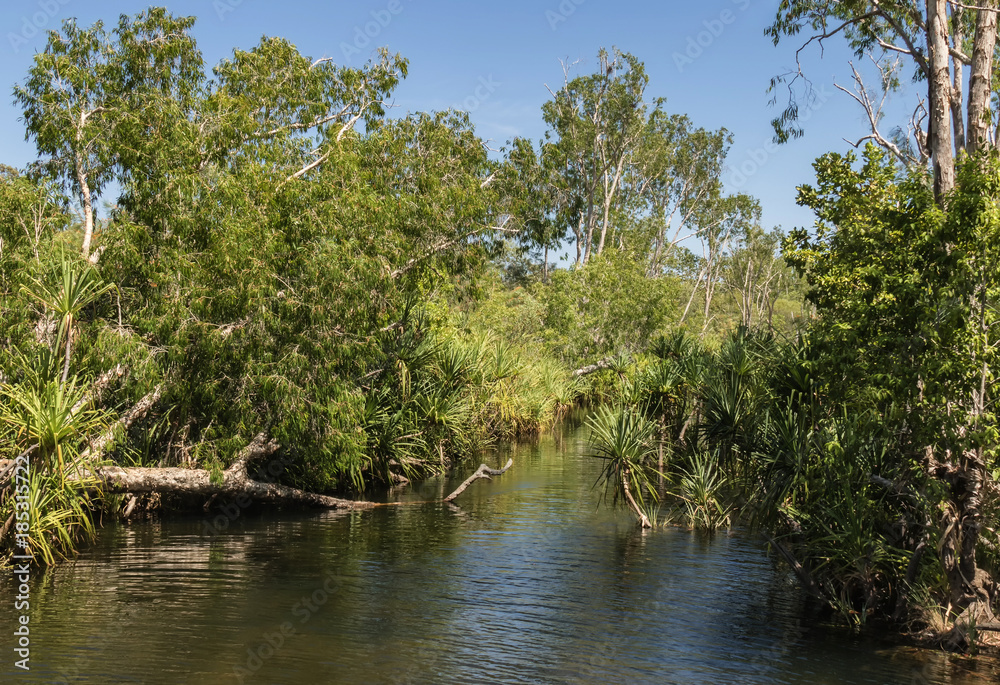 Edith River, Nitmiluk National Park, Northern Territory, Australia Edith River, Nitmiluk National Park, Northern Territory, Australia