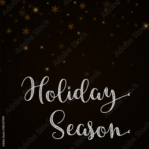 Holiday Season greeting card. Sparse starry snow background. Sparse starry snow on brown background. Magnificent vector illustration.