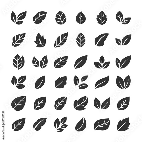 Leaves icon set. Leaf logo. Vector illustration