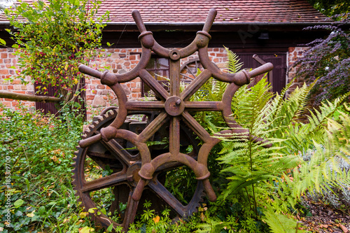 Fragment of the hand-held ancient press overgrown with grass and bushes. Steering wheel of unusual shape in the foreground. photo