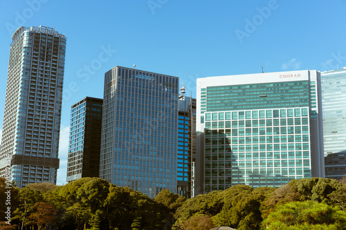 Tall high-rise buildings seen from Hamarikyu Gardens in Tokyo, Japan