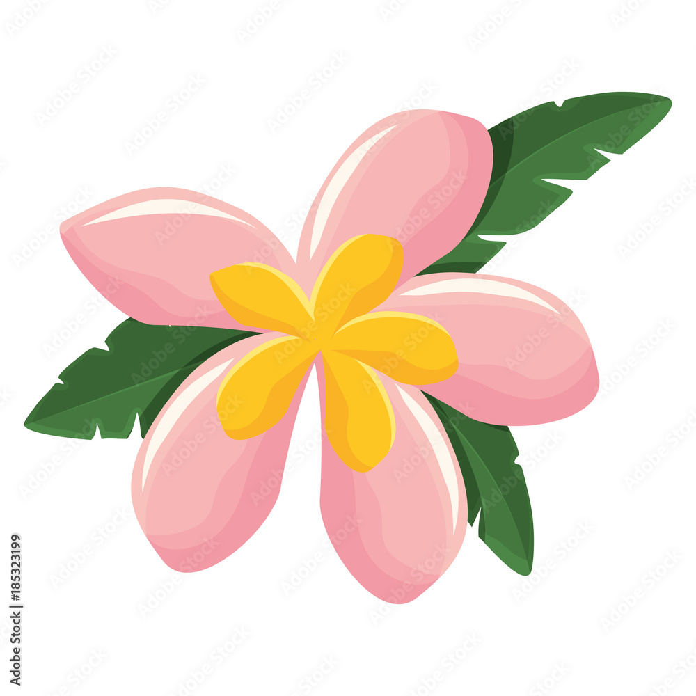  flower with petals pink and yellow   vector illustration