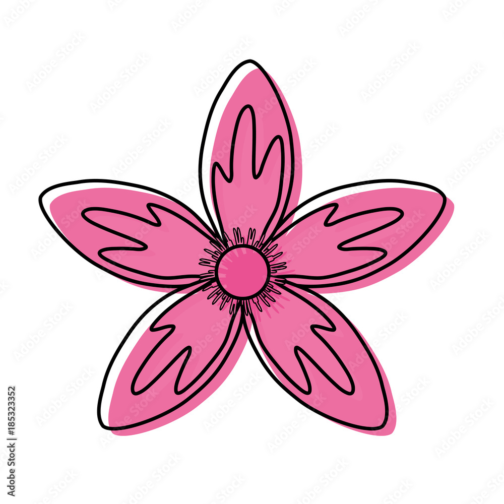 flower with petals pink  vector illustration