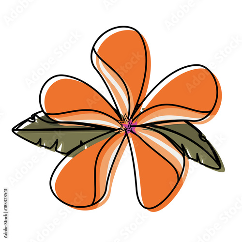 flower with petals orangr vector illustration